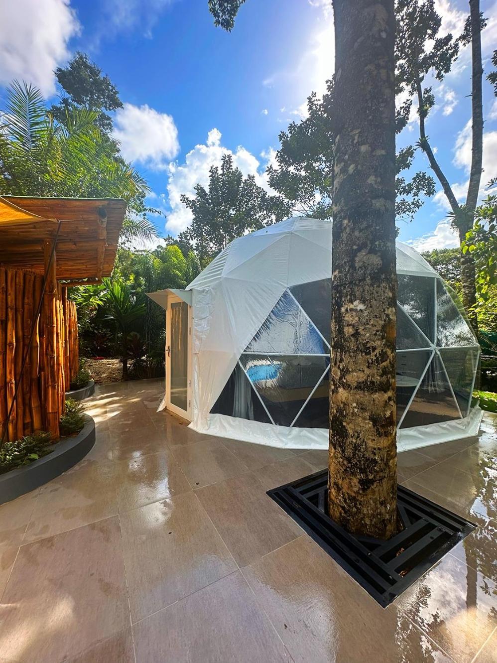 Palo Alto Glamping Hotel Quesada  Room photo